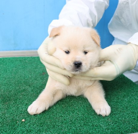 제주 동물보호센터_450650202500770